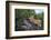 Lion (Panthera Leo) Cub on a Downed Tree Trunk in the Rain-James Hager-Framed Photographic Print