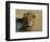 Lion (Panthera Leo), Etosha, Namibia, Africa-Steve & Ann Toon-Framed Photographic Print