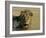 Lion (Panthera Leo), Etosha, Namibia, Africa-Steve & Ann Toon-Framed Photographic Print