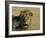 Lion (Panthera Leo), Etosha, Namibia, Africa-Steve & Ann Toon-Framed Photographic Print