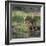 Lion (Panthera leo), female jumping over a stream. Mana Pools National Park, Zimbabwe-Tony Heald-Framed Photographic Print