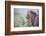 Lion (Panthera Leo) in Heavy Rain, Okavango Delta, Botswana-Wim van den Heever-Framed Photographic Print