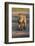 Lion (Panthera leo), Kgalagadi Transfrontier Park, South Africa, Africa-James Hager-Framed Photographic Print