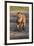 Lion (Panthera leo), Kgalagadi Transfrontier Park, South Africa, Africa-James Hager-Framed Photographic Print