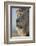 Lion (Panthera leo), Kgalagadi Transfrontier Park, South Africa, Africa-James Hager-Framed Photographic Print