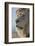 Lion (Panthera leo), Kgalagadi Transfrontier Park, South Africa, Africa-James Hager-Framed Photographic Print