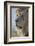 Lion (Panthera leo), Kgalagadi Transfrontier Park, South Africa, Africa-James Hager-Framed Photographic Print