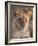 Lion (Panthera Leo), Masai Mara, Kenya, East Africa, Africa-Sergio Pitamitz-Framed Photographic Print