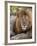 Lion (Panthera Leo), Masai Mara, Kenya, East Africa, Africa-Sergio Pitamitz-Framed Photographic Print