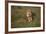 Lion (Panthera Leo), Ngorongoro Conservation Area, Serengeti, Tanzania, East Africa, Africa-James Hager-Framed Photographic Print