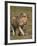 Lion (Panthera Leo), Ngorongoro Conservation Area, Serengeti, Tanzania, East Africa, Africa-James Hager-Framed Photographic Print