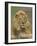 Lion (Panthera Leo), Serengeti National Park, Tanzania, East Africa, Africa-James Hager-Framed Photographic Print