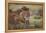 Lion (Panthera Leo), Serengeti National Park, Tanzania, East Africa, Africa-James Hager-Framed Premier Image Canvas