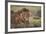 Lion (Panthera Leo), Serengeti National Park, Tanzania, East Africa, Africa-James Hager-Framed Photographic Print