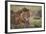 Lion (Panthera Leo), Serengeti National Park, Tanzania, East Africa, Africa-James Hager-Framed Photographic Print