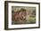 Lion (Panthera Leo), Serengeti National Park, Tanzania, East Africa, Africa-James Hager-Framed Photographic Print