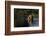 Lion (Panthera Leo) Swimming, Okavango Delta, Botswana-Wim van den Heever-Framed Photographic Print