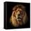 Lion Portrait on Black Background. Big Adult Lion with Rich Mane.-Michal Bednarek-Framed Premier Image Canvas