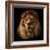 Lion Portrait on Black Background. Big Adult Lion with Rich Mane.-Michal Bednarek-Framed Photographic Print