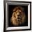 Lion Portrait on Black Background. Big Adult Lion with Rich Mane.-Michal Bednarek-Framed Photographic Print