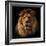 Lion Portrait on Black Background. Big Adult Lion with Rich Mane.-Michal Bednarek-Framed Photographic Print