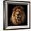 Lion Portrait on Black Background. Big Adult Lion with Rich Mane.-Michal Bednarek-Framed Photographic Print