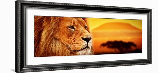 Lion Portrait on Savanna Landscape Background and Mount Kilimanjaro at Sunset. Panoramic Version-Michal Bednarek-Framed Photographic Print