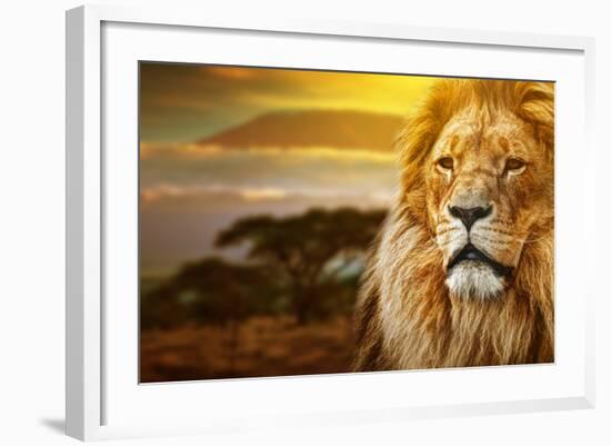 Lion Portrait On Savanna Landscape Background And Mount Kilimanjaro At Sunset-Michal Bednarek-Framed Photographic Print