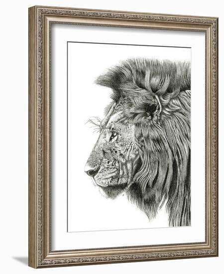 Lion Portrait-Lucy Francis-Framed Giclee Print