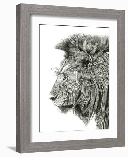 Lion Portrait-Lucy Francis-Framed Giclee Print