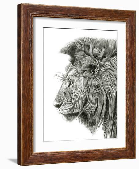 Lion Portrait-Lucy Francis-Framed Giclee Print