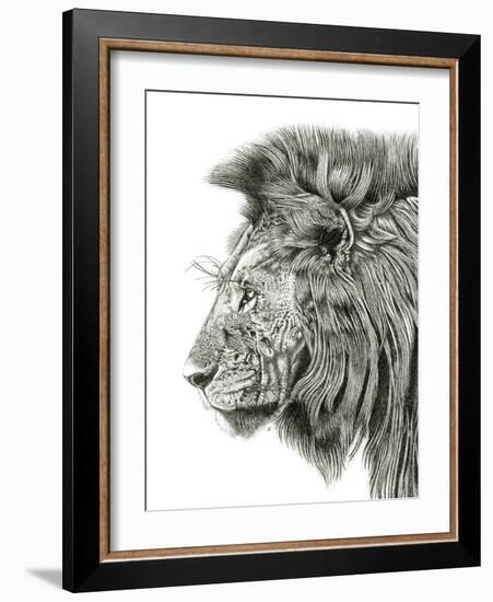 Lion Portrait-Lucy Francis-Framed Giclee Print