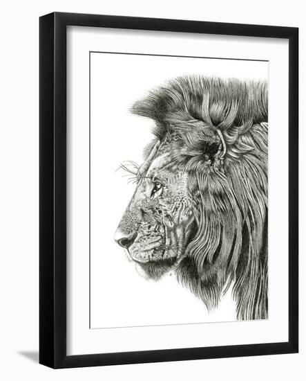 Lion Portrait-Lucy Francis-Framed Giclee Print