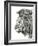 Lion Portrait-Lucy Francis-Framed Giclee Print