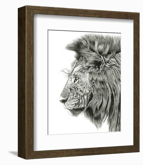 Lion Portrait-Lucy Francis-Framed Art Print