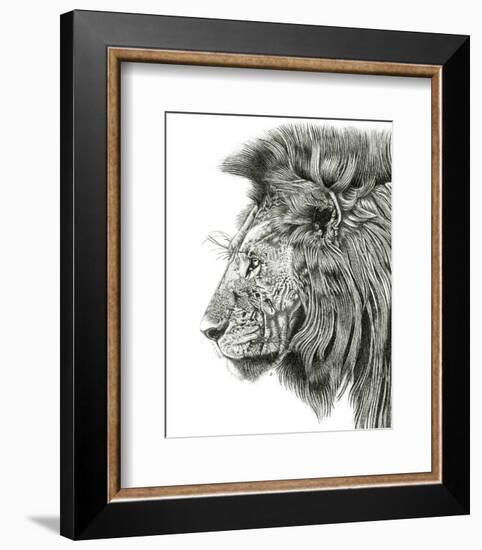 Lion Portrait-Lucy Francis-Framed Art Print