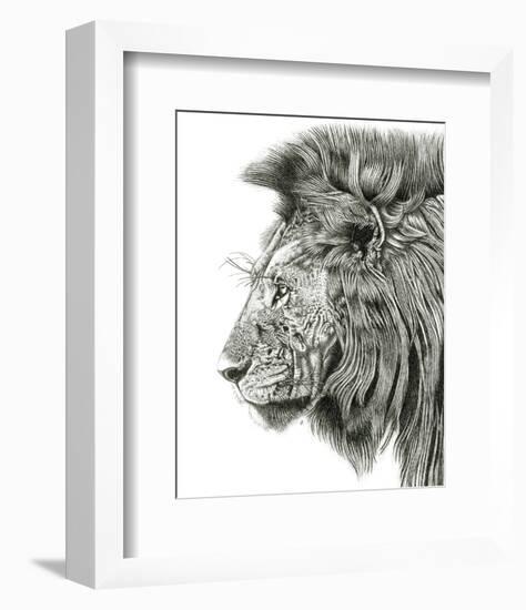 Lion Portrait-Lucy Francis-Framed Art Print