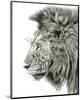 Lion Portrait-Lucy Francis-Mounted Art Print