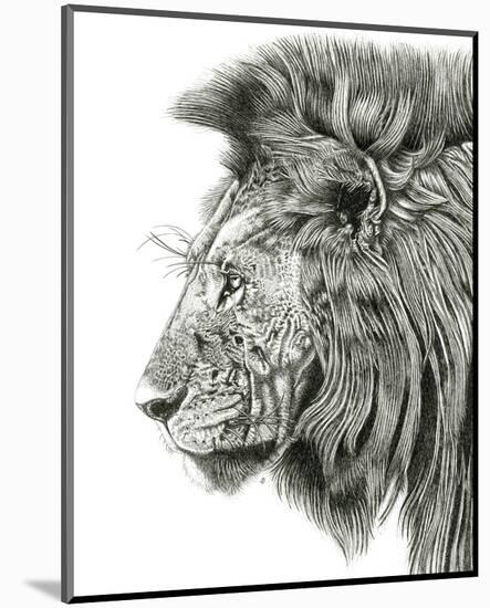 Lion Portrait-Lucy Francis-Mounted Art Print