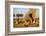 Lion Pride Resting at Acacia Tree-null-Framed Photographic Print