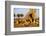 Lion Pride Resting at Acacia Tree-null-Framed Photographic Print