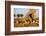 Lion Pride Resting at Acacia Tree-null-Framed Photographic Print