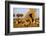 Lion Pride Resting at Acacia Tree-null-Framed Photographic Print