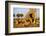 Lion Pride Resting at Acacia Tree-null-Framed Photographic Print