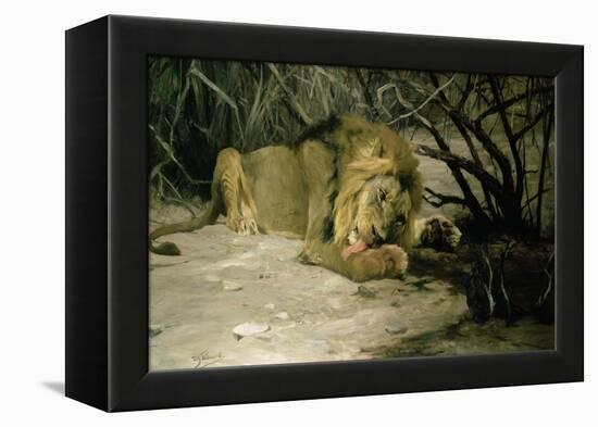 Lion Reclining in a Landscape-Wilhelm Kuhnert-Framed Premier Image Canvas