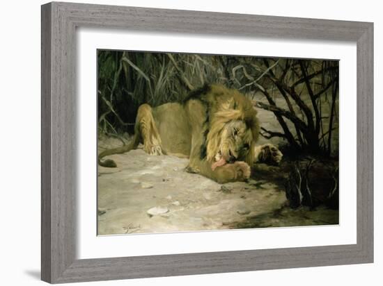 Lion Reclining in a Landscape-Wilhelm Kuhnert-Framed Giclee Print