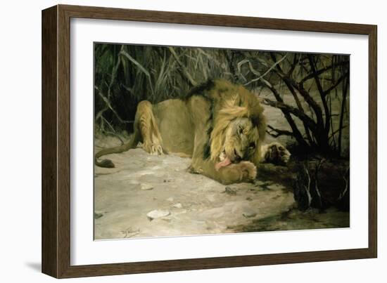 Lion Reclining in a Landscape-Wilhelm Kuhnert-Framed Giclee Print