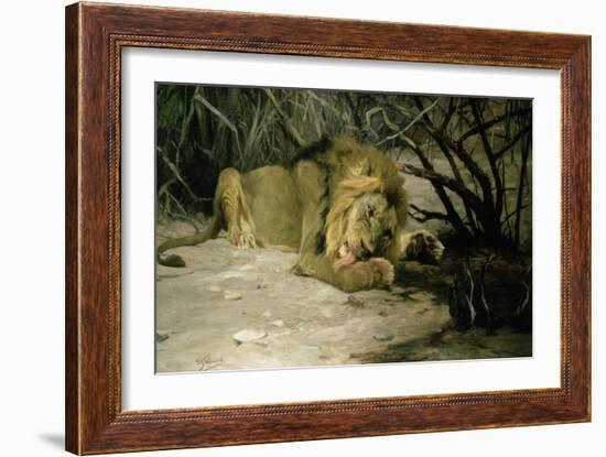 Lion Reclining in a Landscape-Wilhelm Kuhnert-Framed Giclee Print