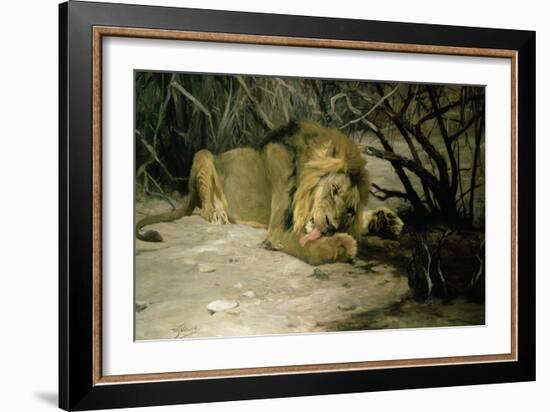Lion Reclining in a Landscape-Wilhelm Kuhnert-Framed Giclee Print