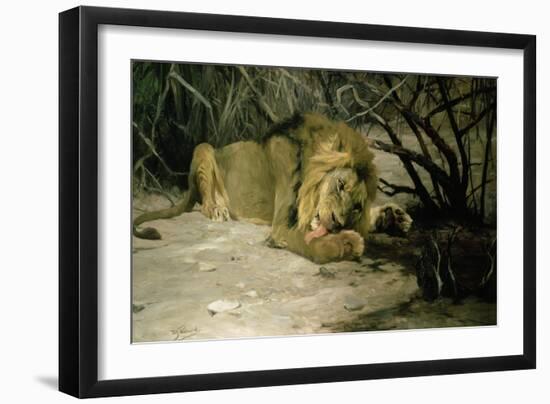 Lion Reclining in a Landscape-Wilhelm Kuhnert-Framed Giclee Print